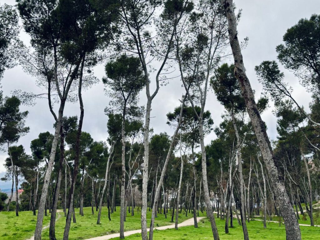 Ecoansiedad y entorno urbano